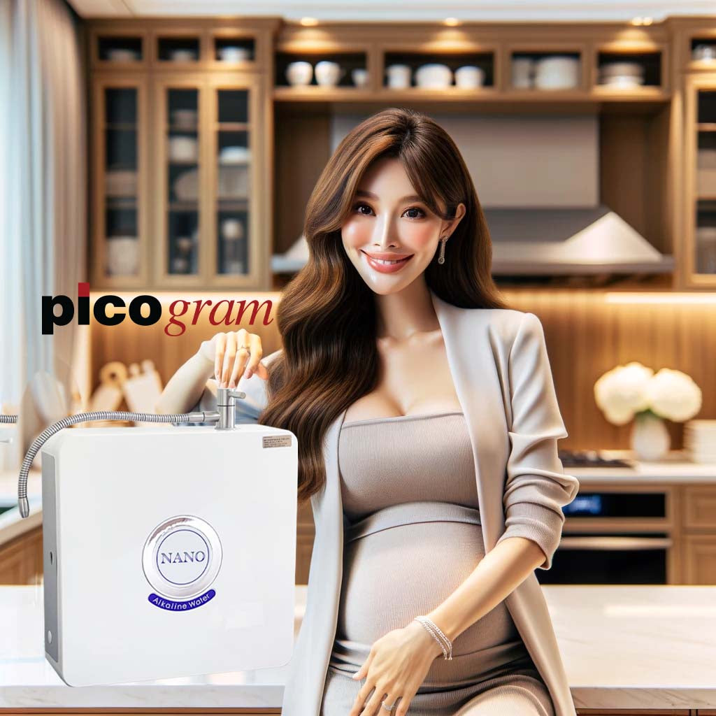 NANO ALKALINE WATER PURIFIER SYSTEM *JAKIM HALAL CERTIFIED Filters