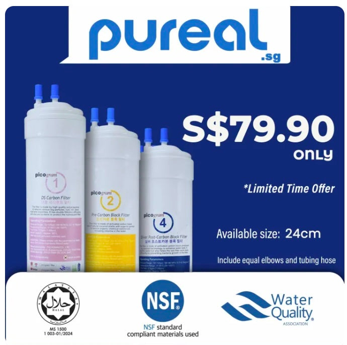(Jakim Halal)Pureal Premium 3PC, 24cm DS Filter, Pre-Carbon, Silver-Carbon, Water Filter, Water Dispenser, Water Purifier