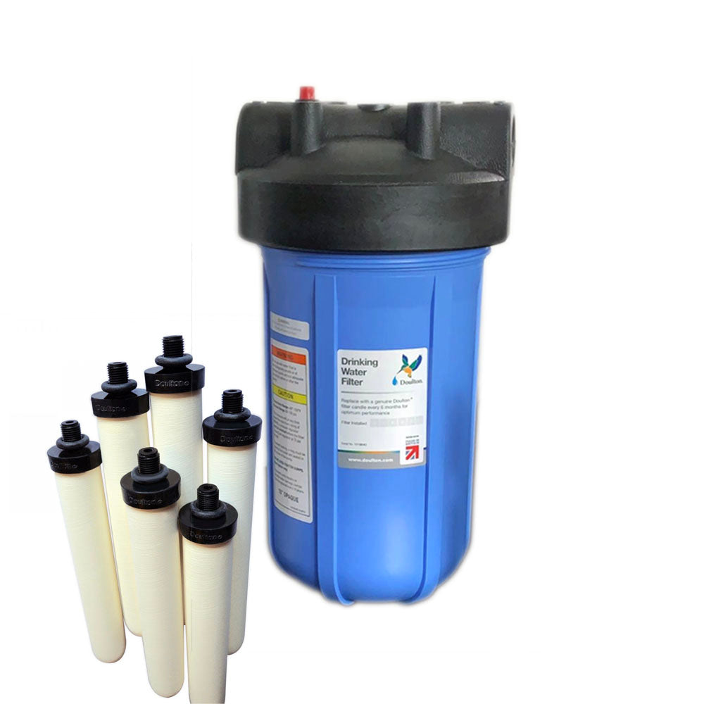 W9381105 Big Blue 10" housing ¦ RIO 2000 Carousel ¦ 6 x 8" Sterasyl Elements