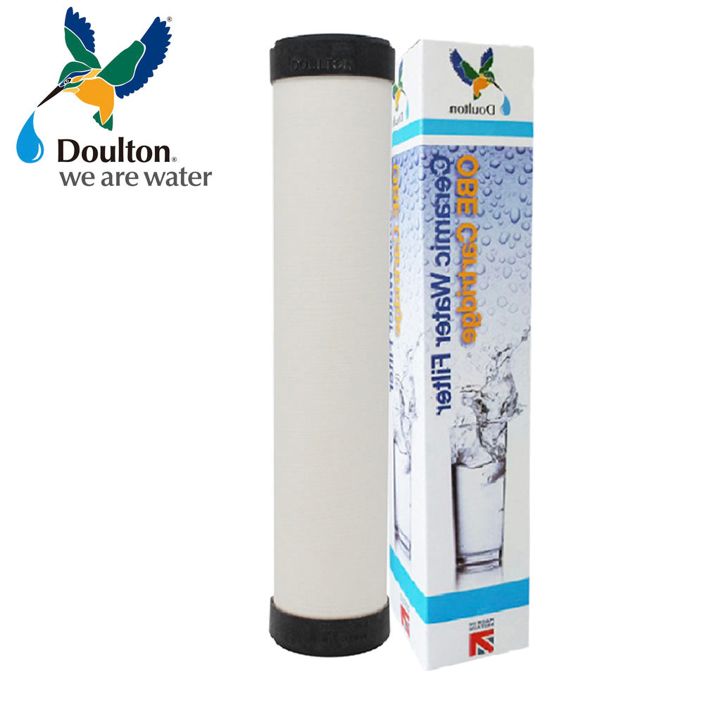 W9220402 9 ¾&quot; Doulton Sterasyl ¦ Slimline OBE Cartridge